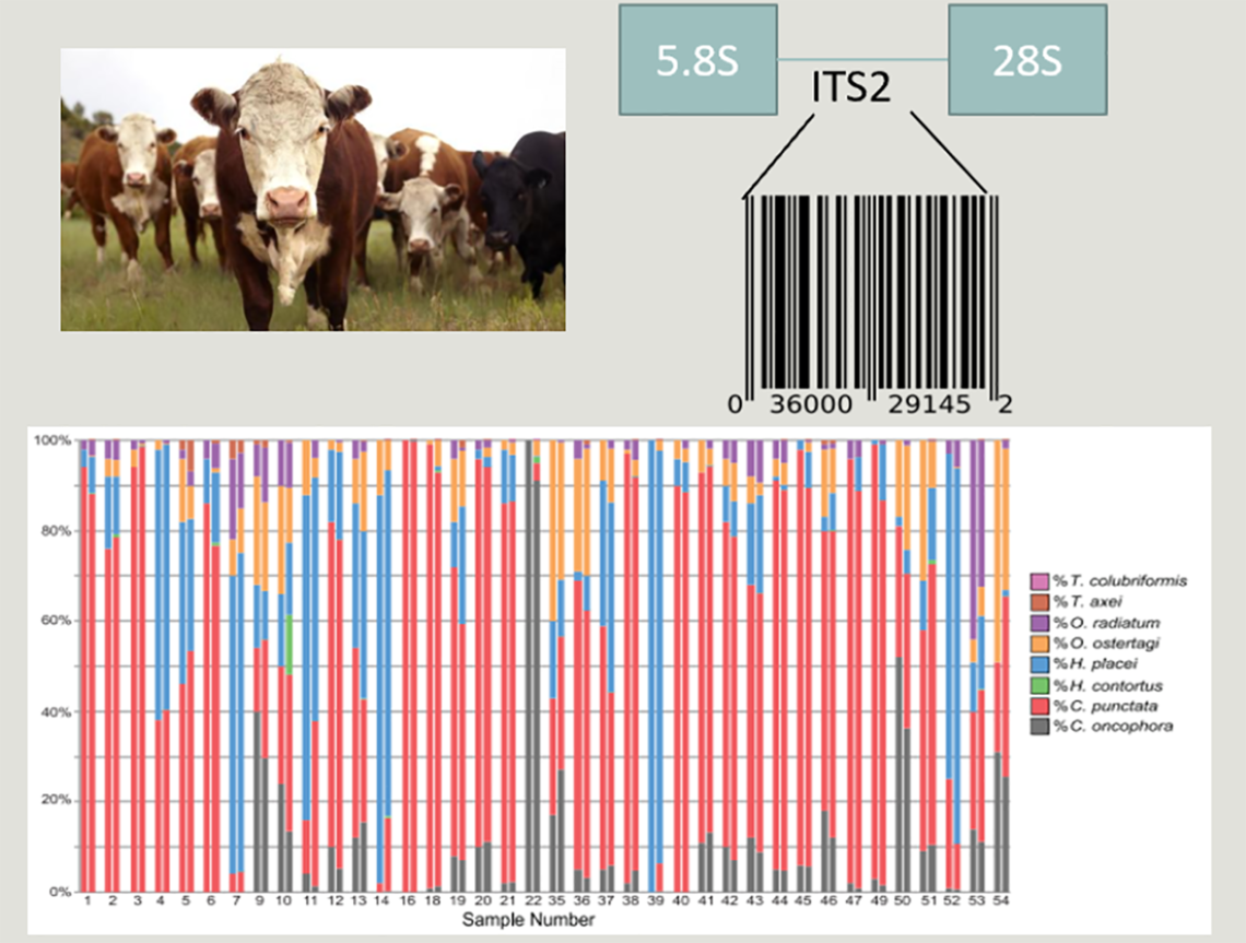 Metabarcoding example