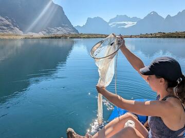 Colleen samples for zooplankton. 