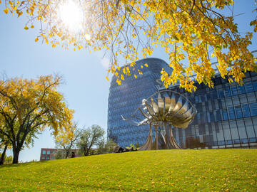 fall on main campus