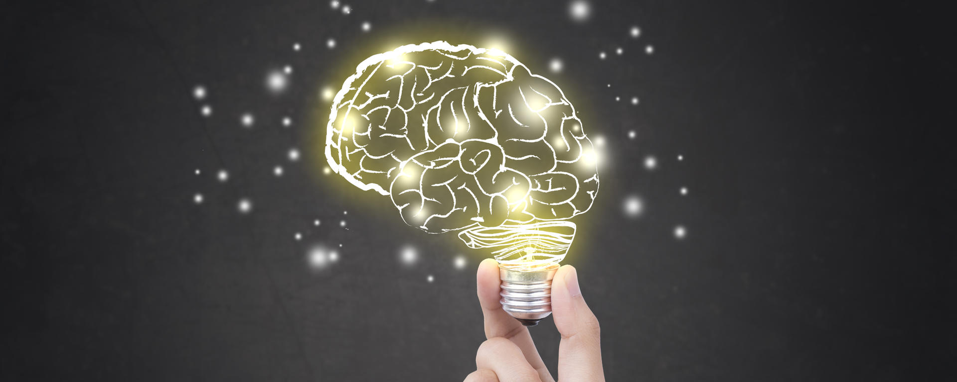 brain 