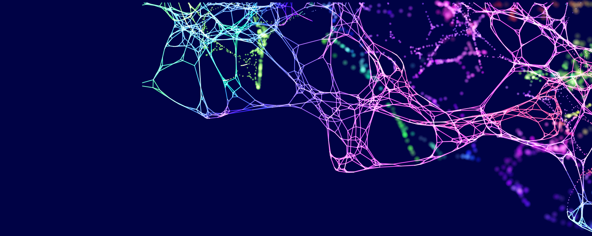 neurons