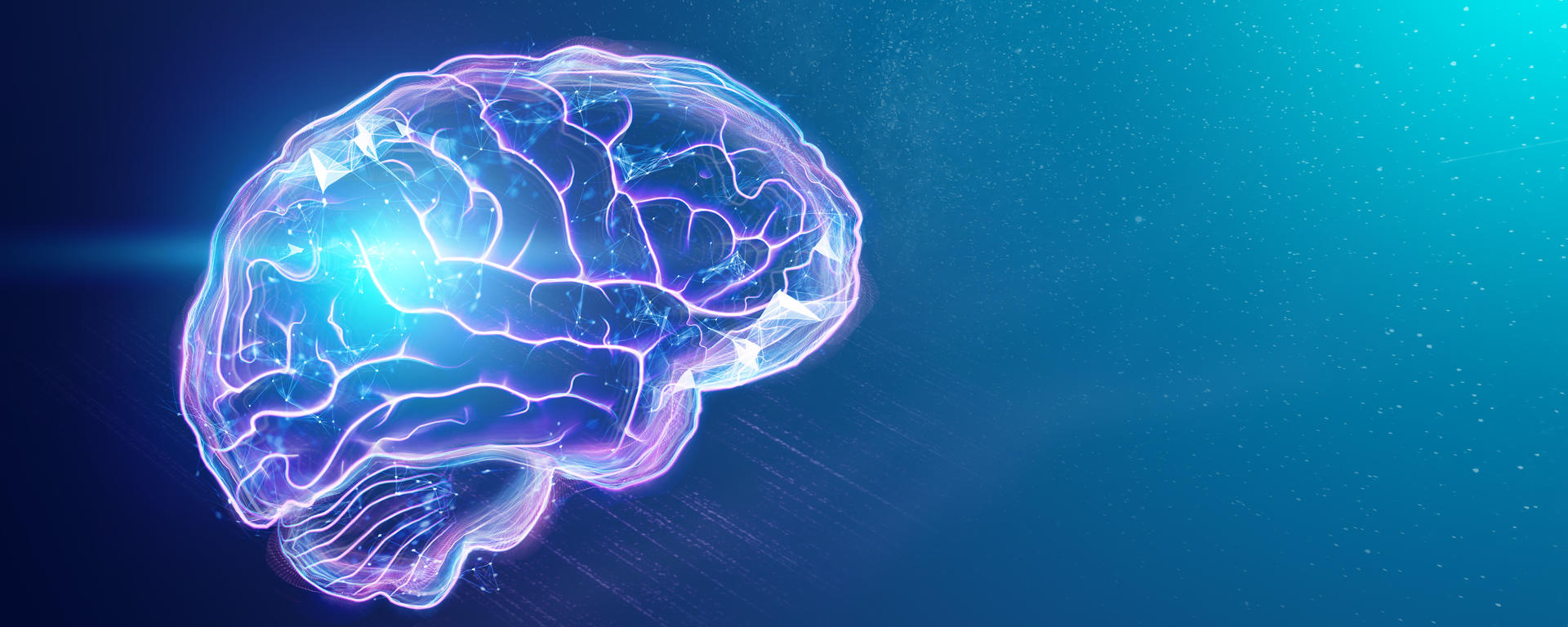 brain