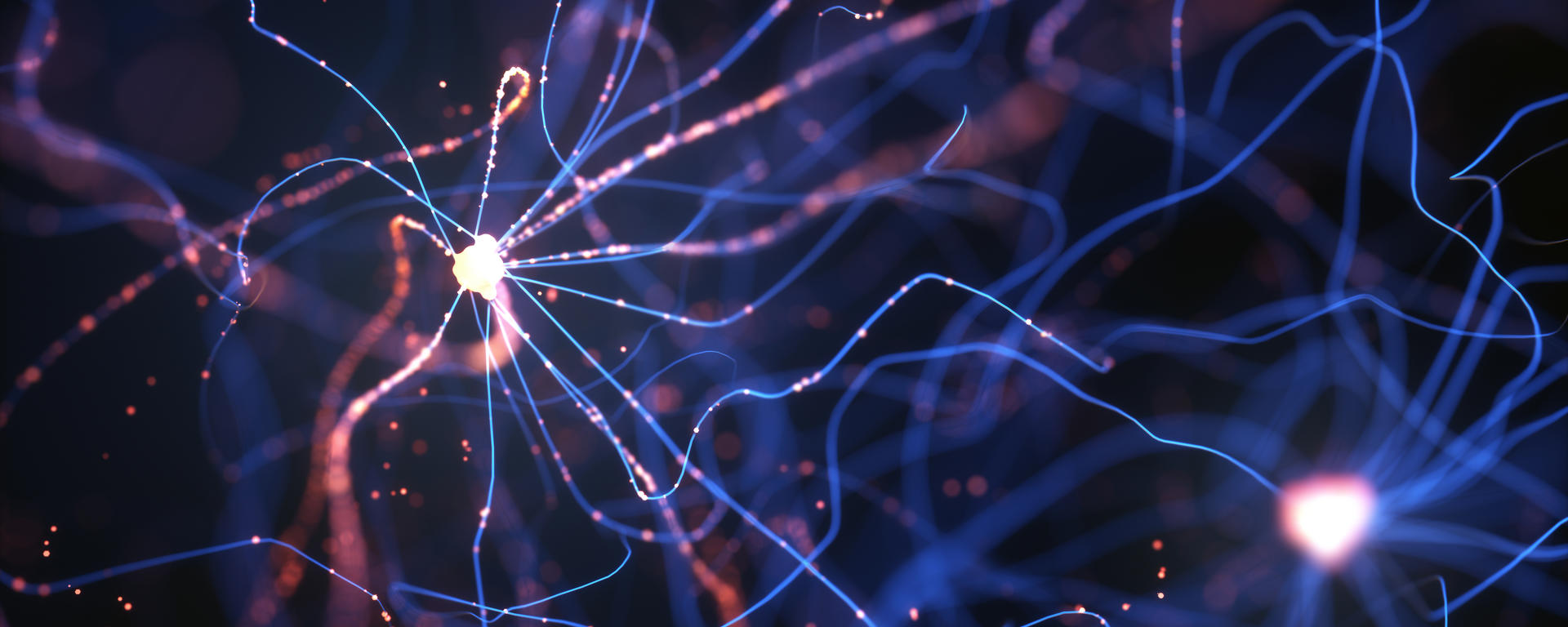 neurons