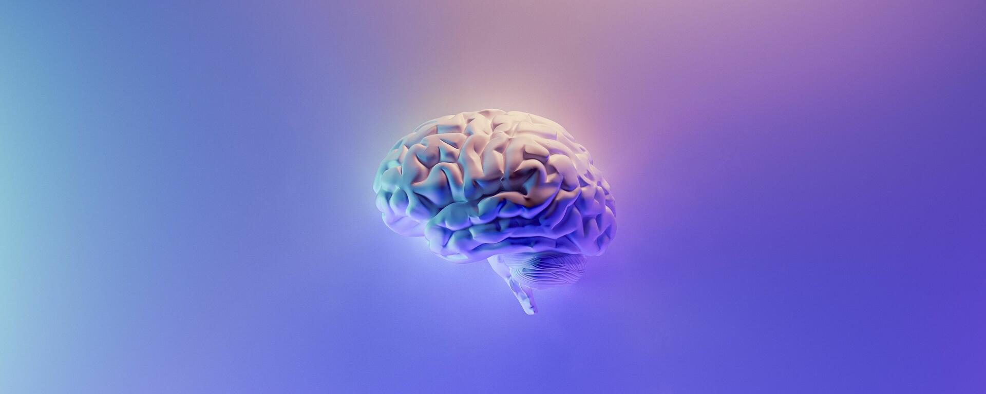 brain banner