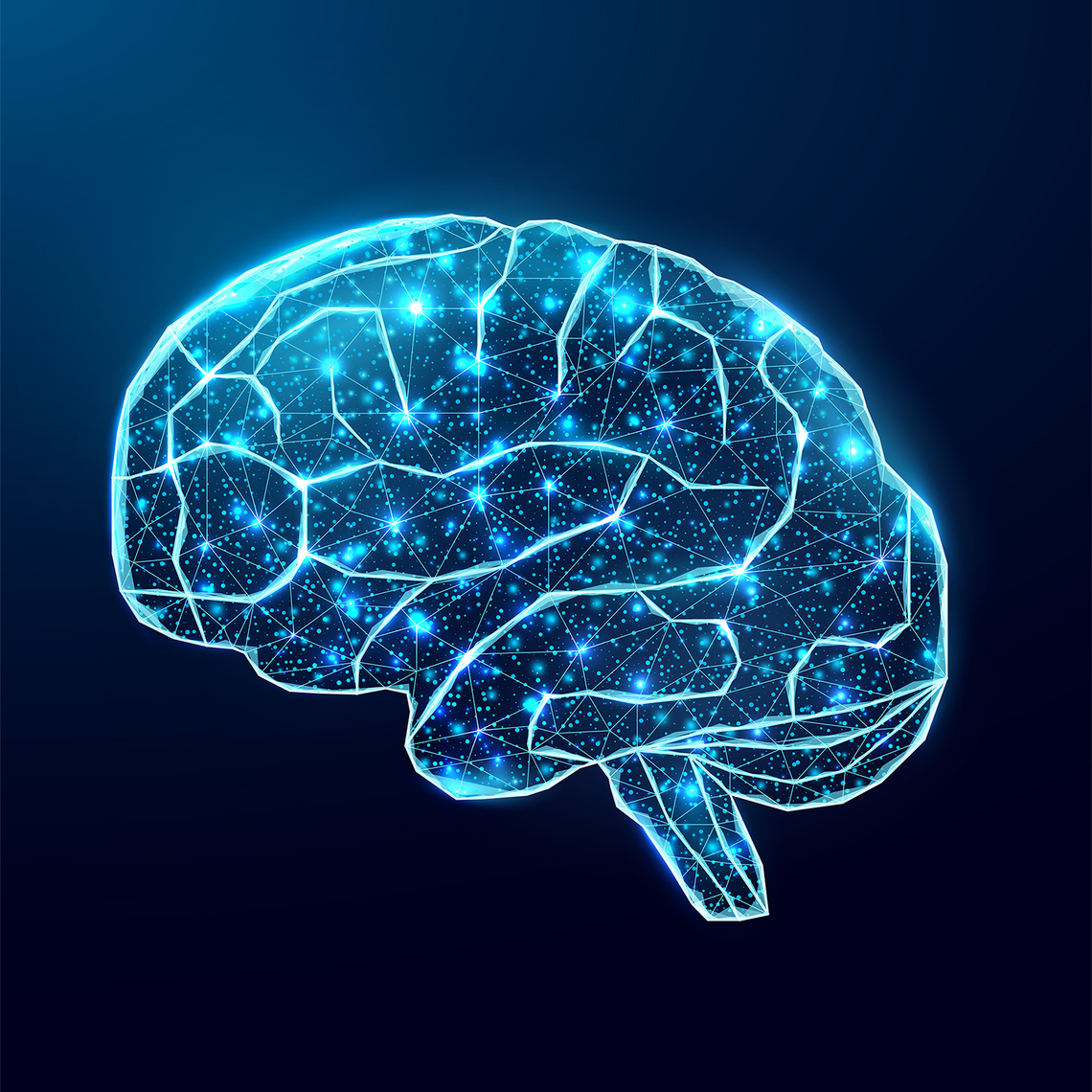 brain