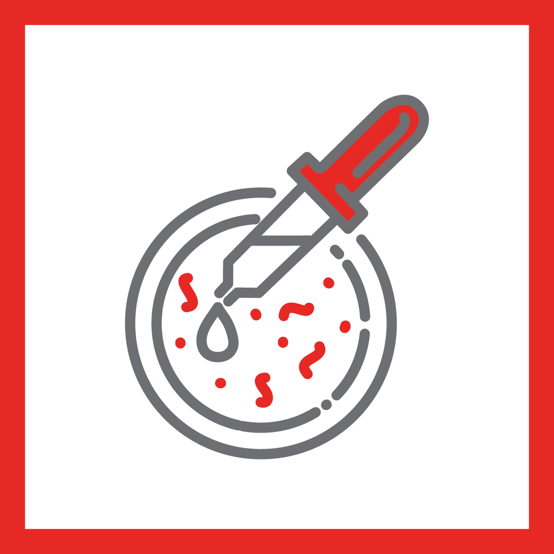 gutbio icon