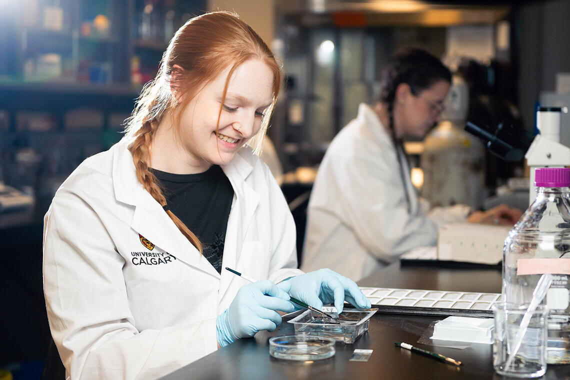 A researcher in Dr. Matthew Hill's lab is transferring rodent brain slices from a Petri dish to slides. 