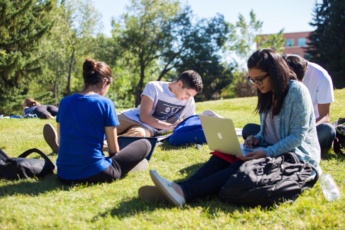 summer students