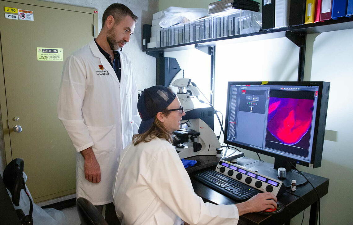 Dr. Matthew Hill and graduate student Robert Aukema in the lab, looking at a computer screen that is displaying bright pink abstract shapes.