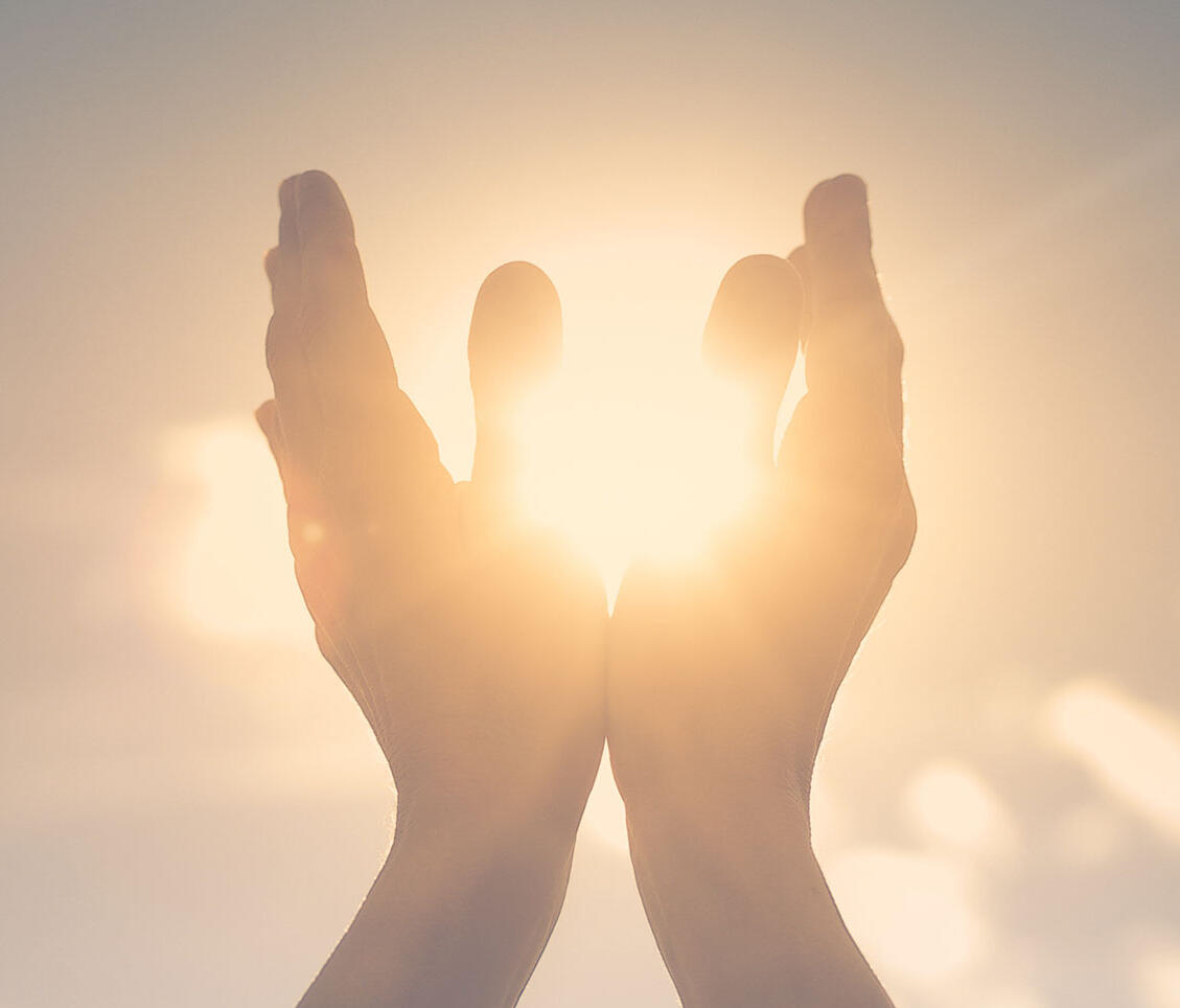 Hands reach up to the sun.