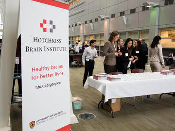 HBI Strategic Plan 2015 Launch