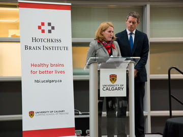 HBI Strategic Plan 2015 Launch