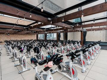 bikes