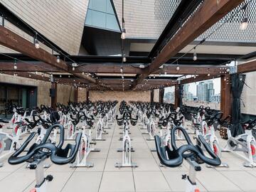 bikes