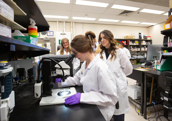 Student Researcher with Supervisor