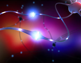 neuron