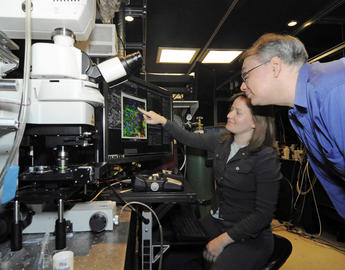 microscope analysis