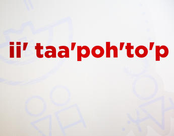 ii' taa'poh'to'p
