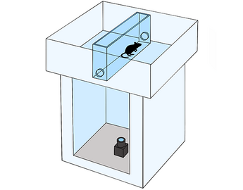 3D Puff with Apparatus